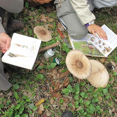 The Nest By Cooking And Nature Alvados Ngoại thất bức ảnh