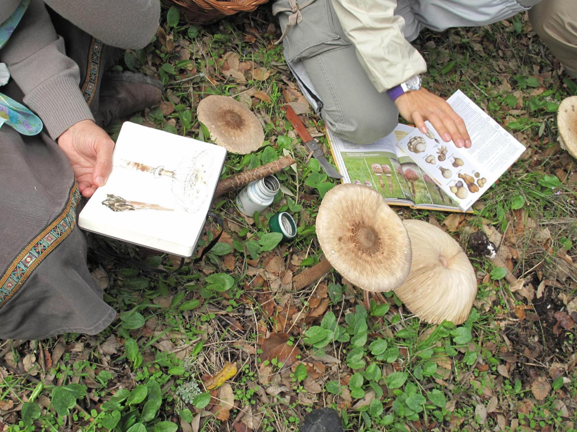The Nest By Cooking And Nature Alvados Ngoại thất bức ảnh