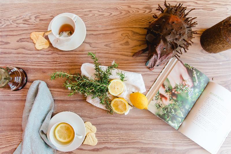 The Nest By Cooking And Nature Alvados Ngoại thất bức ảnh